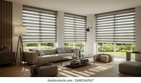 Zebra blinds, large living room windows